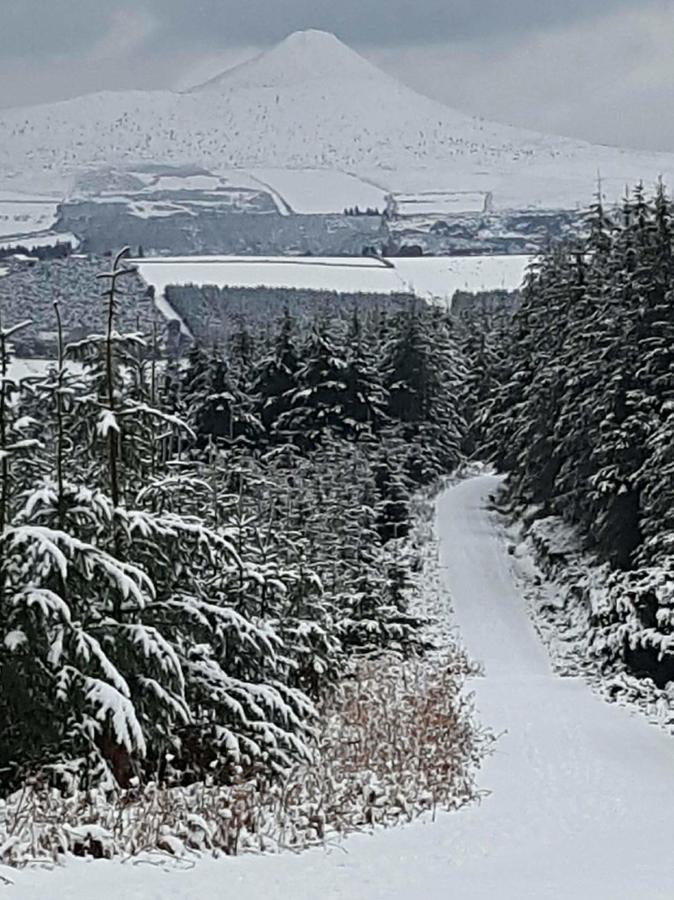 The Enniskerry Inn 外观 照片